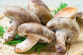 siitake