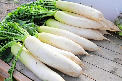 daikon