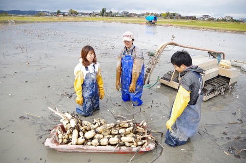 renkonshuukaku