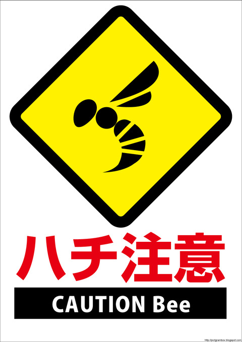 kiken