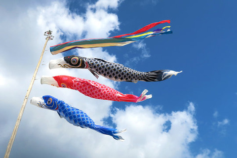 koinobori3