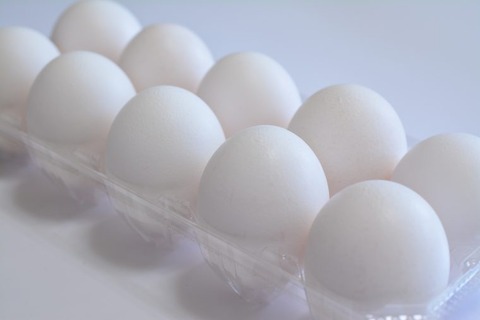 tamago