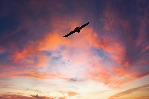 hukitu