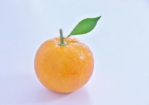 daidai
