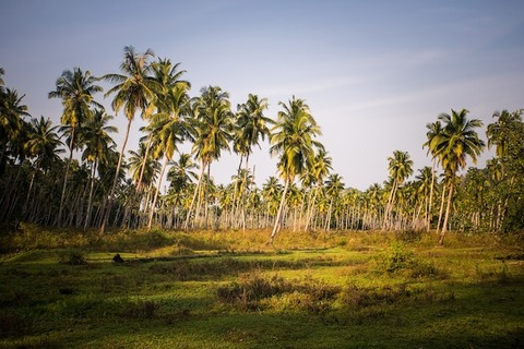anettai
