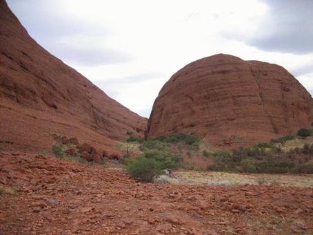kansoutitai
