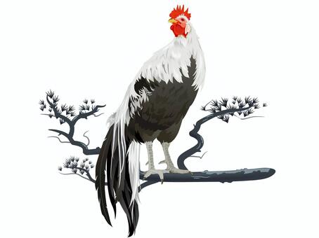 toridosi