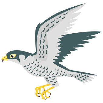 hayabusa