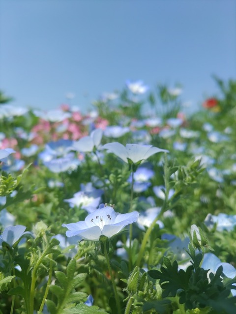 IMG_20240428_105915