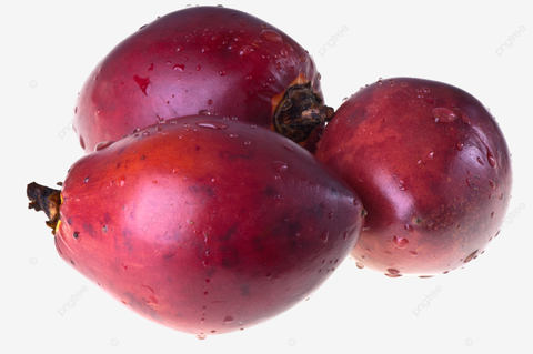 tamariro