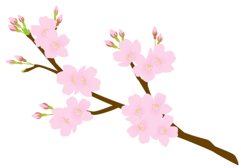 sakura1