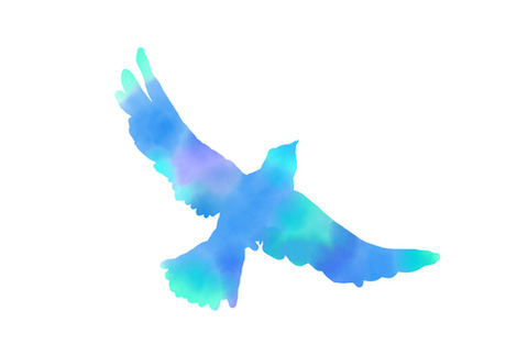 aoitori