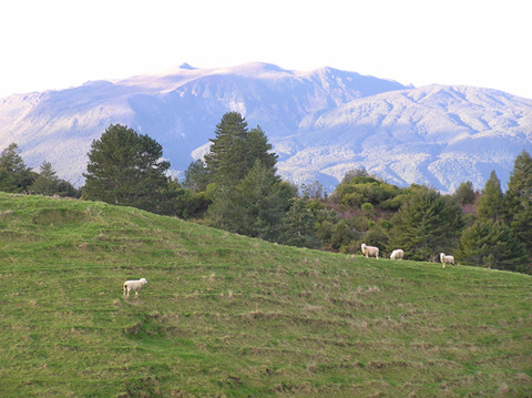 nzland