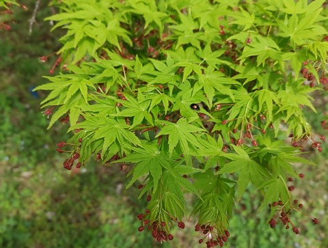 IMG_20230327_124503