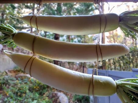 hosidaikon