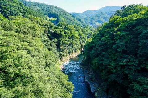 tani