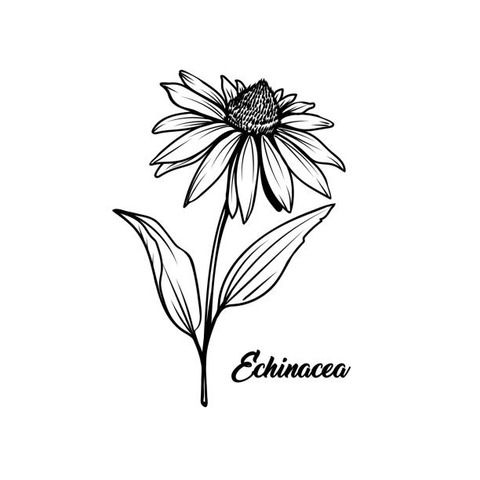 ekinasea