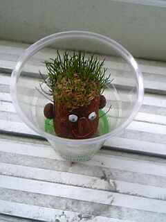 生えました Girl Talk