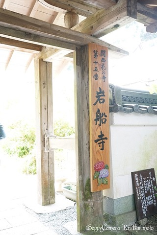 jpg2