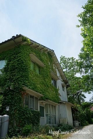 DSC00980