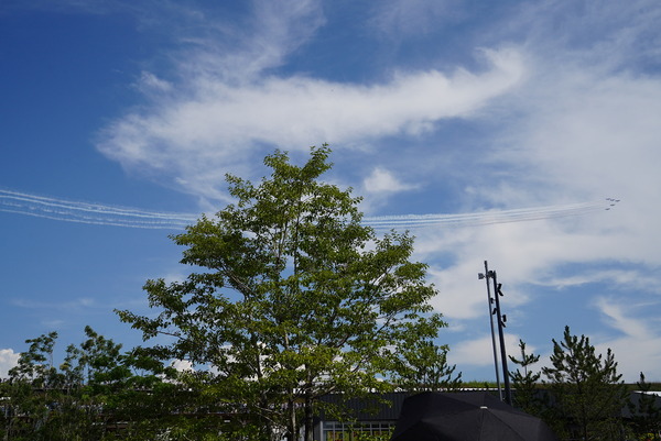 DSC02824