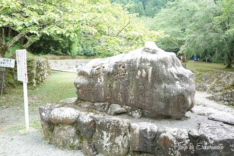DSC02132