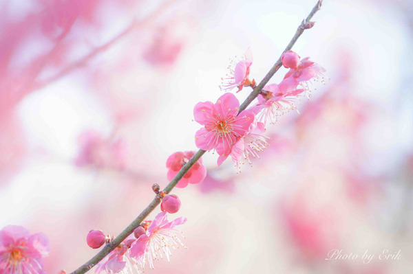 76400CEC-64DD-4E8B-885A-6DDFE9D4CD7F