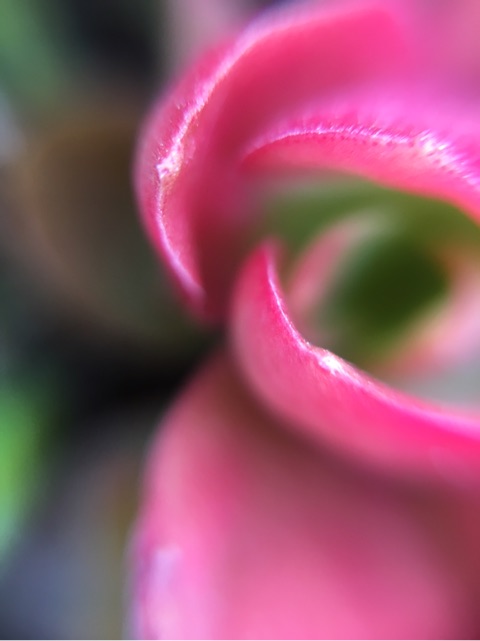 {8A37F37C-5D52-4CB3-97A6-35226537E1B5}
