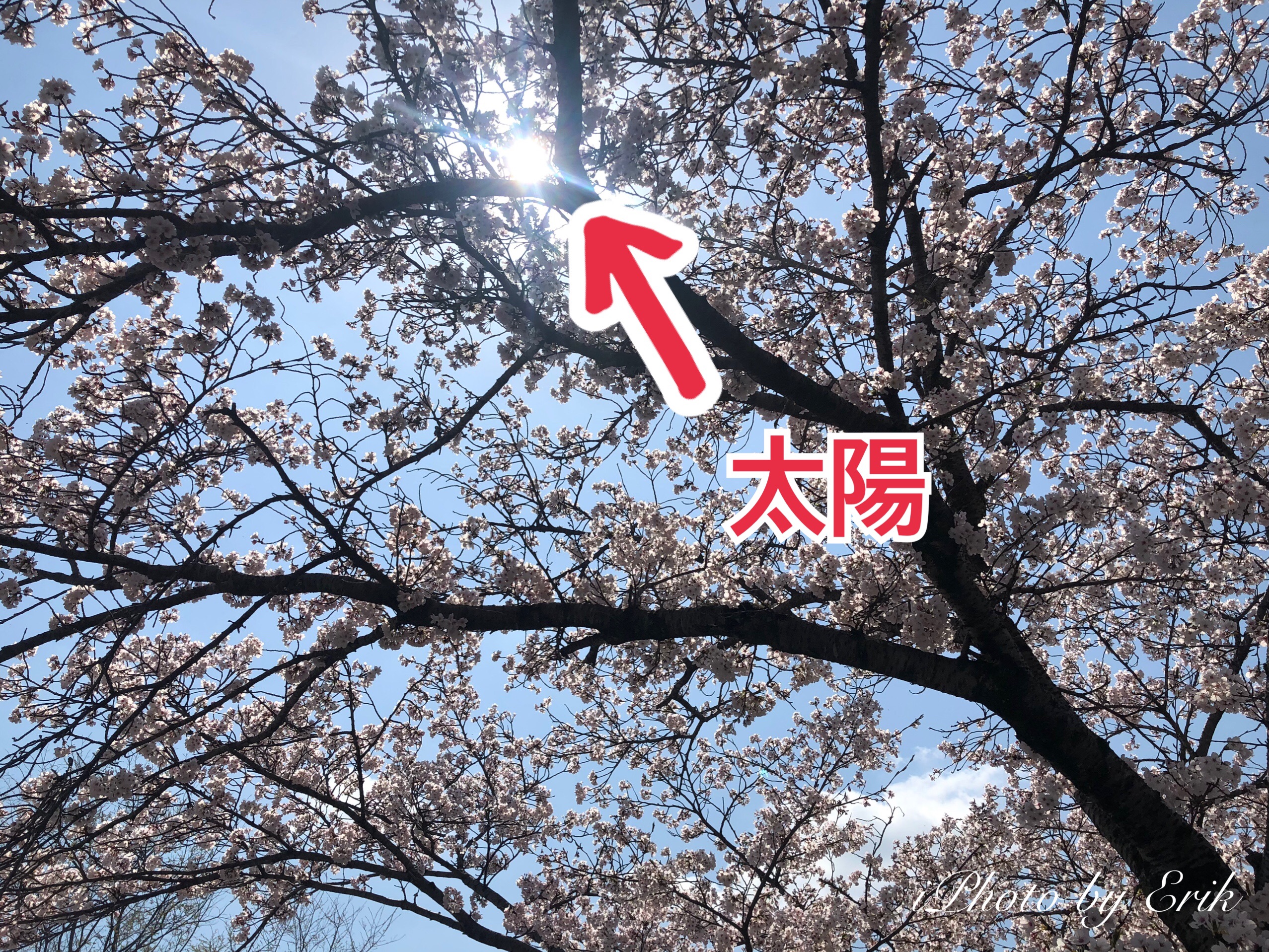 青空を、ちゃんと青空で撮る方法 : 写真で魅力発掘 ～暮らしのフォト 