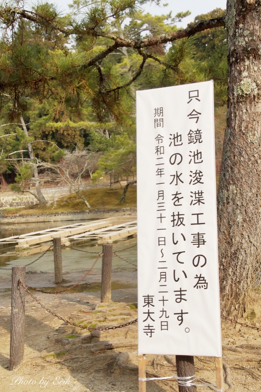 奈良 東大寺の鏡池 池の水ぜんぶ 抜かれてました 写真で魅力発掘 暮らしのフォトダイアリー Powered By ライブドアブログ