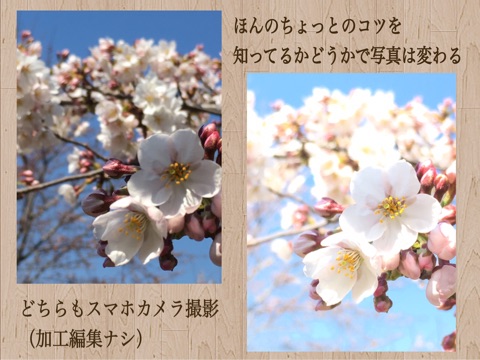 {88ED36CF-2AE3-40B3-AEE1-1EA7B9723858}
