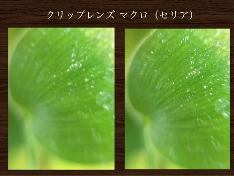 {AD9053A4-FB1F-4D27-844B-623D08487BFB}