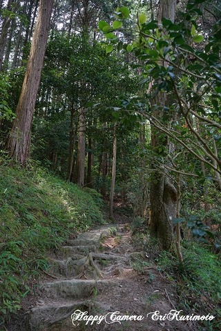 DSC00946