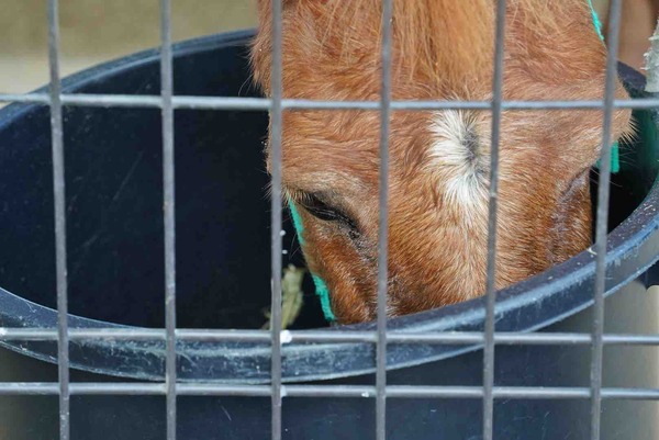 FullSizeRender