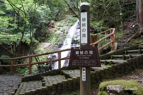 DSC02151