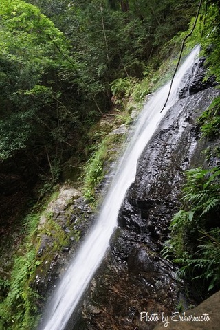 DSC02175