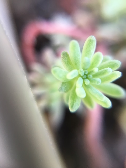 {4C61E5EE-F73B-4482-85AA-F5F94DDAC494}