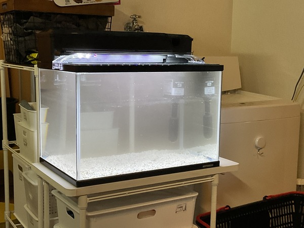 954922B7-070F-456F-84FD-F993D38418AE