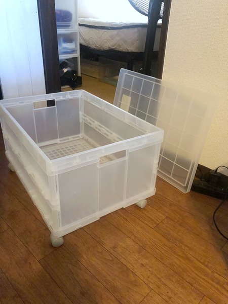 FullSizeRender