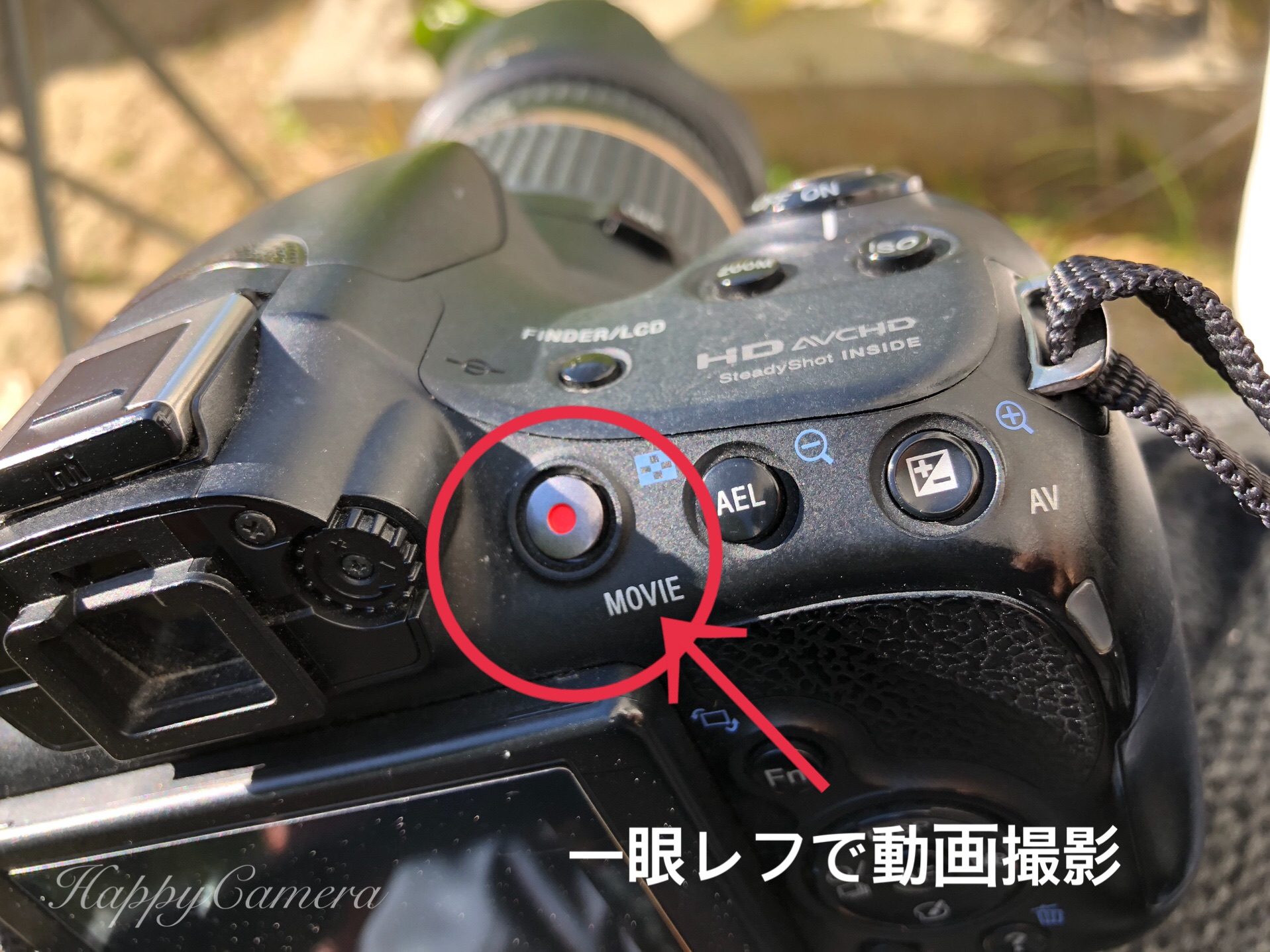 動画撮影も一眼レフにして良かった In 運動会 写真で魅力発掘 暮らしのフォトダイアリー Powered By ライブドアブログ