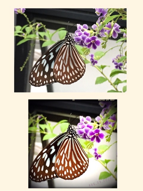 {AD5C765C-FB8D-43AF-A7DF-B528F6ECB040}