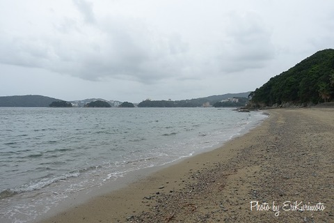DSC00597