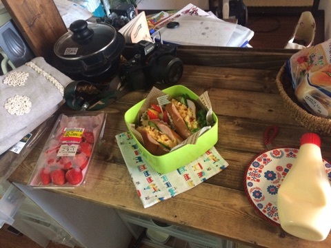 {A414C84F-69CF-4F0A-808F-5EB59D540D2C}