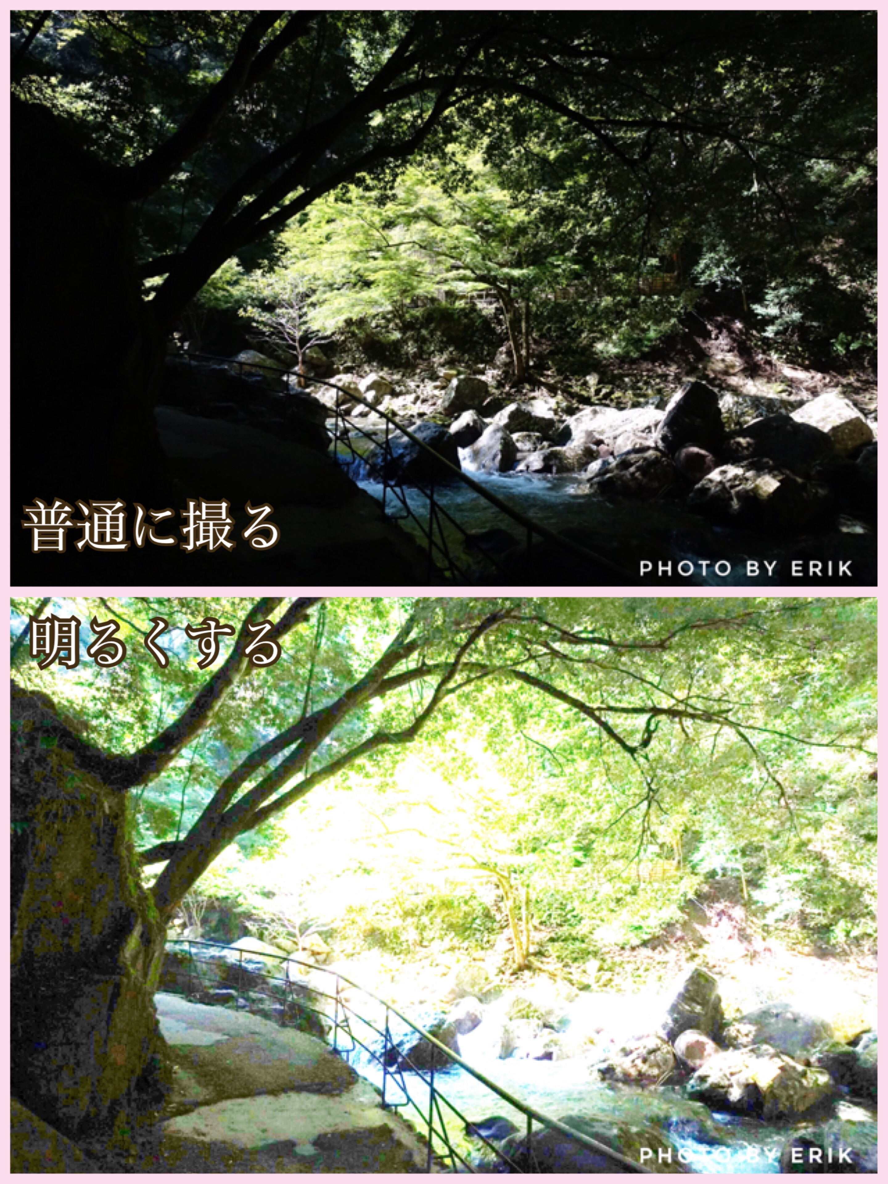 写真のお悩み】黒つぶれ&白トビにこの機能!HDRで撮ってみよう : 写真