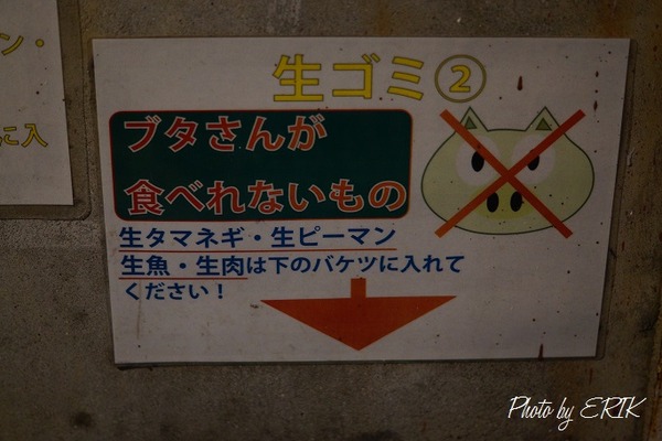 DSC00485.jpg25