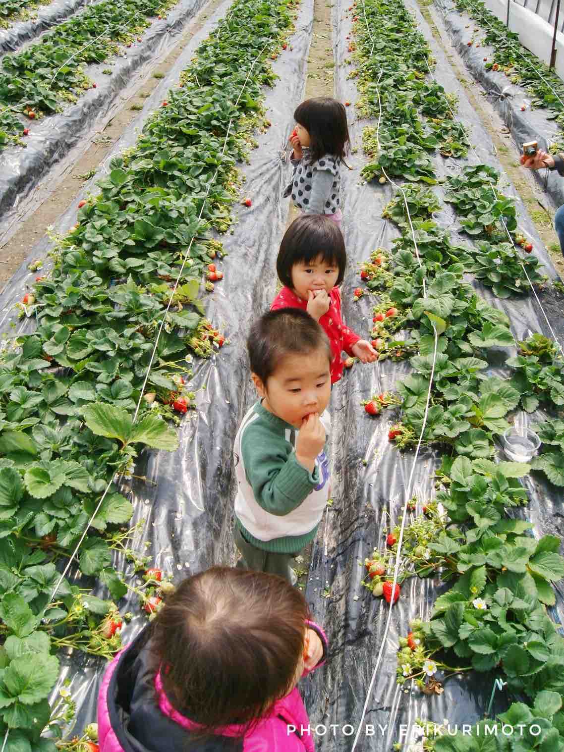 3 11 防災について考える コストコで非常食ストック買ってきた 写真で魅力発掘 暮らしのフォトダイアリー Powered By ライブドアブログ