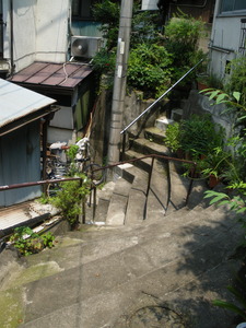 IMGP2608