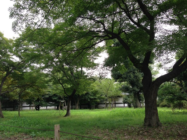二条城20130808