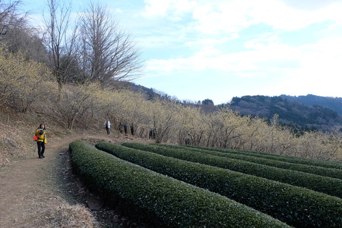 DSCF6191