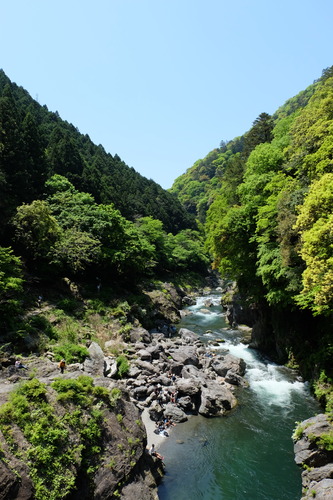 DSCF4707